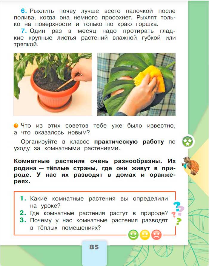 А – Я: Путешествие по миру комнатных растений