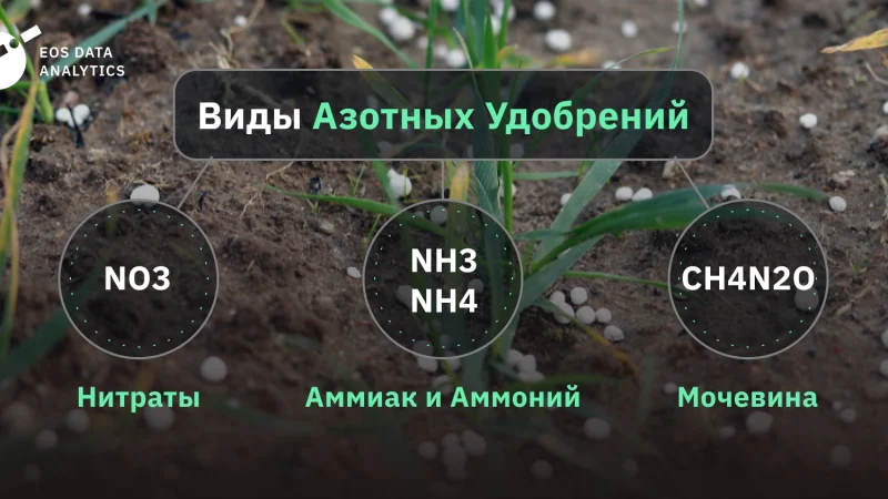 Азотные удобрения: роль, виды и применение