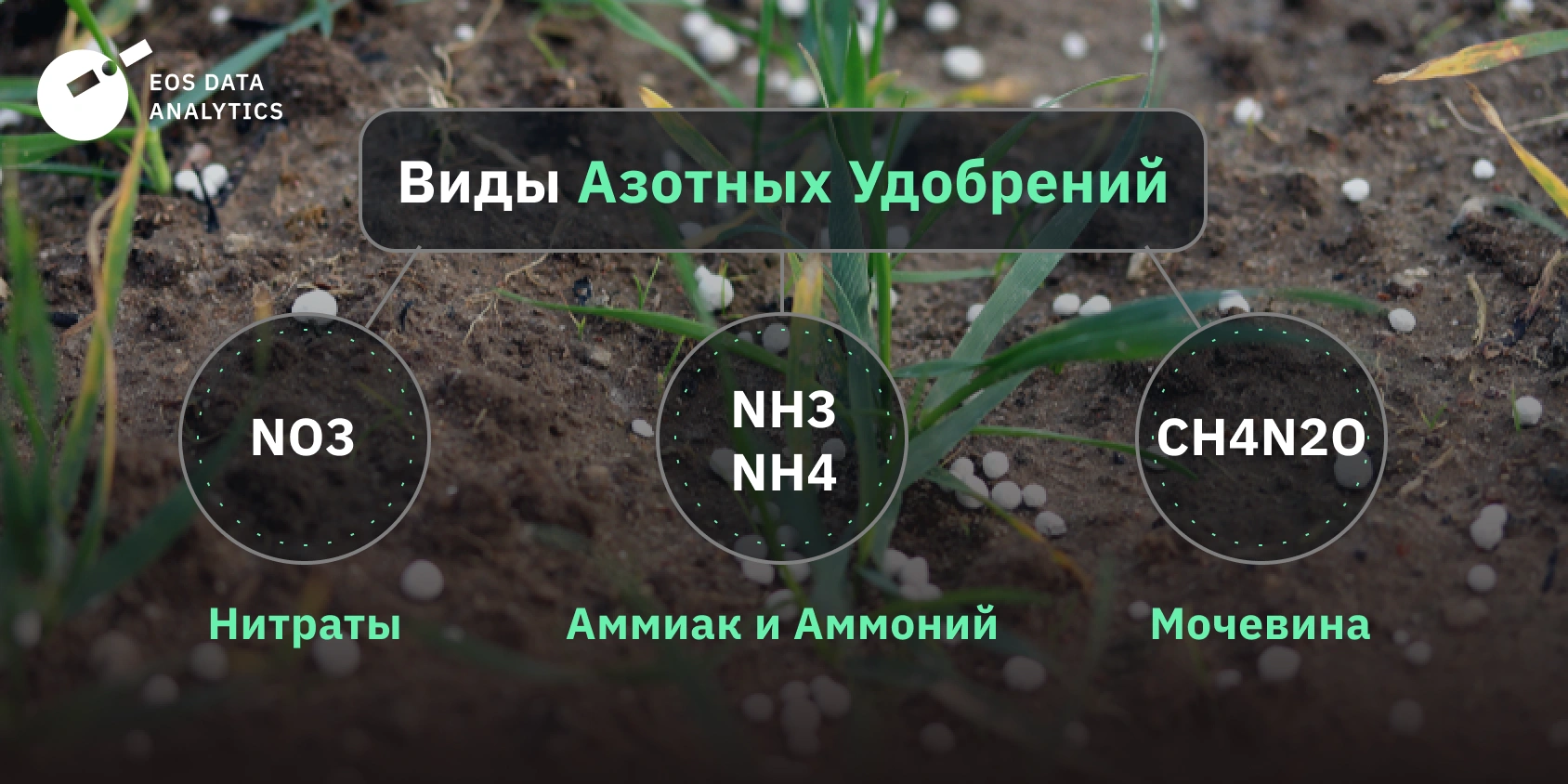 Азотные удобрения: роль, виды и применение