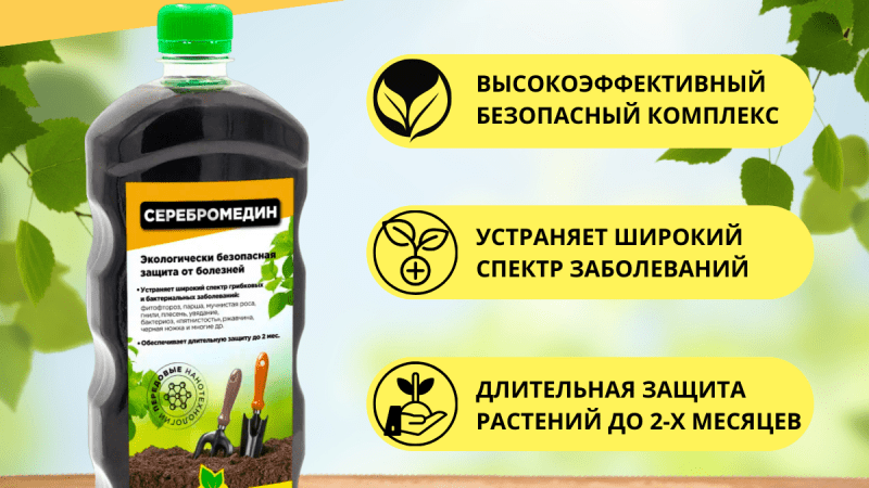 Биопрепараты для растений от болезней: эффективная и безопасная защита вашего сада и огорода