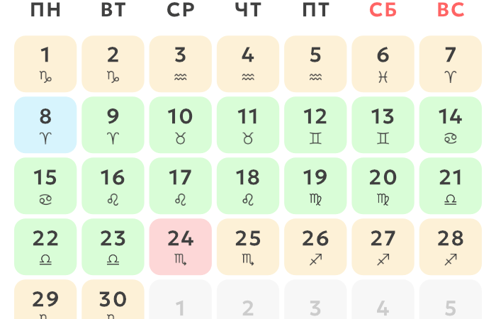 Благоприятные дни для пересадки комнатных растений в 2024 году