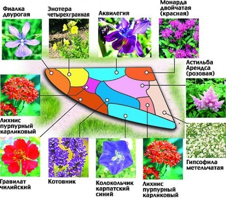 Цветники и клумбы для дачи: схемы, планирование и выбор растений