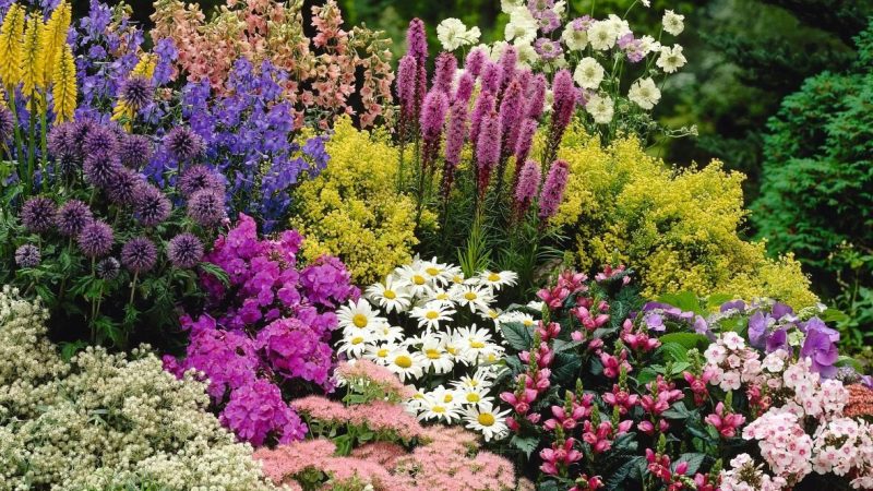 Цветники и клумбы из многолетних растений: создание красивого и долговечного сада