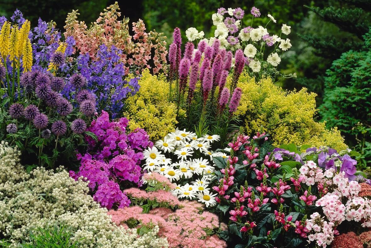 Цветники и клумбы с многолетниками