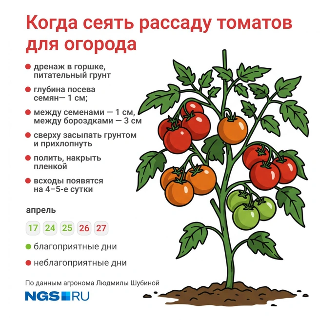 Факторы, влияющие на сроки посева рассады помидор