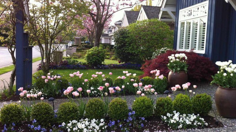 Идеи и вдохновляющие примеры оформления клумб и цветников