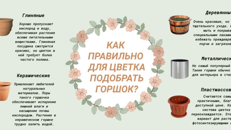 Как выбрать идеальный горшок для цветов: руководство для начинающих садоводов