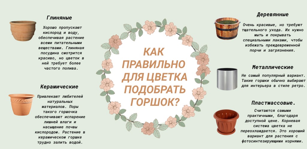 Как выбрать идеальный горшок для цветов: руководство для начинающих садоводов