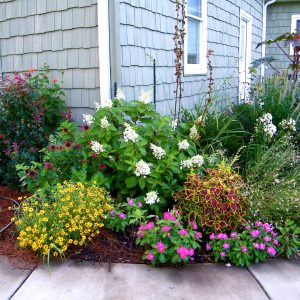 Клумбы и цветники: Создаем цветущий оазис своими руками