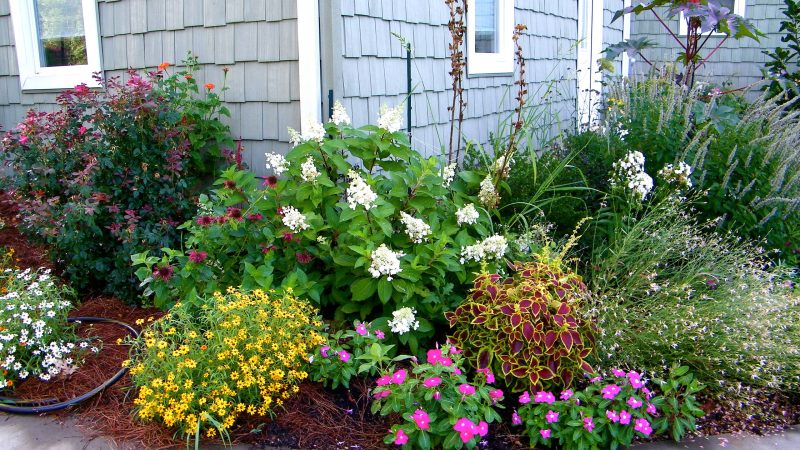 Клумбы и цветники: Создаем цветущий оазис своими руками