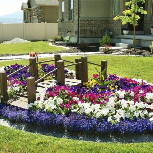 Красивейшие цветники и клумбы: планирование, проектирование и выбор растений