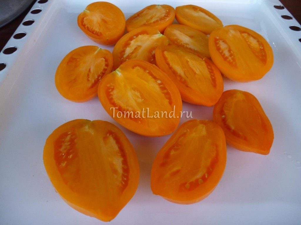 Лучшие районированные сорта овощей для Кемеровской области