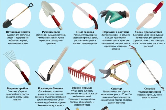 Необходимый инвентарь для дачи: что нужно иметь под рукой