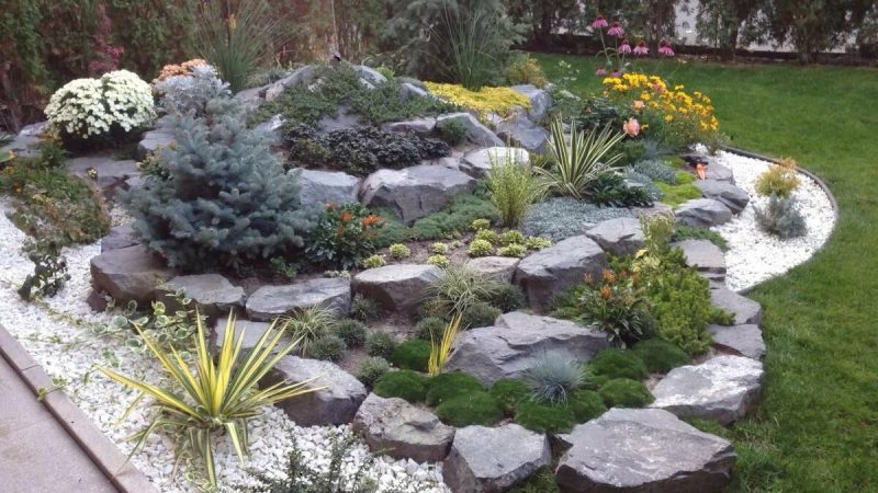 Оформление цветников и клумб камнем: преимущества, виды и применение