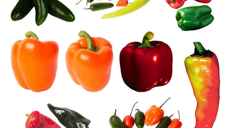 Перец: разнообразие сортов, выращивание и кулинарное использование