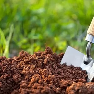 Подготовка почвы к зиме: осеннее удобрение для обильного урожая