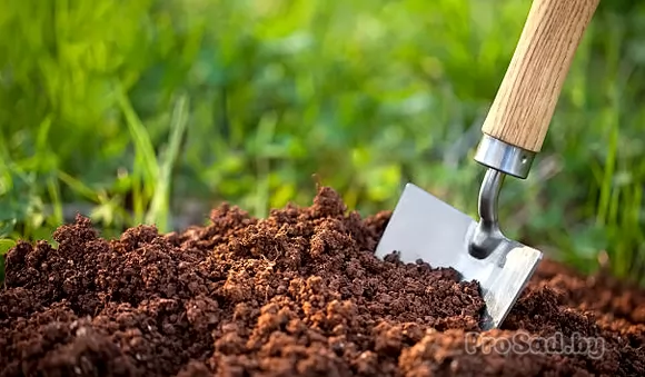 Подготовка почвы к зиме: осеннее удобрение для обильного урожая