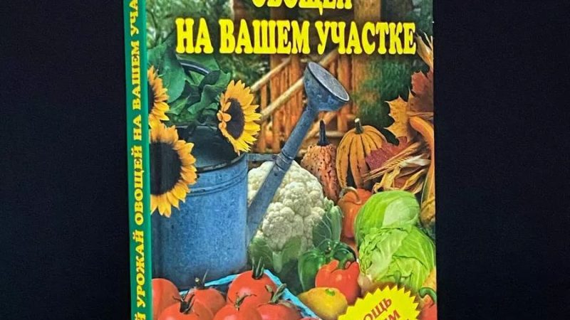 Проверенные технологии выращивания овощей: богатый урожай на вашем огороде