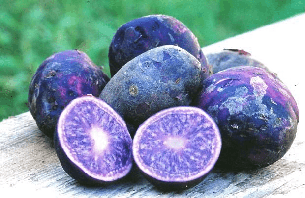 Редкие и интересные сорта овощей