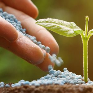 Роль минеральных удобрений в современном сельском хозяйстве