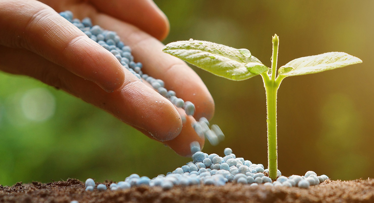 Роль минеральных удобрений в современном сельском хозяйстве