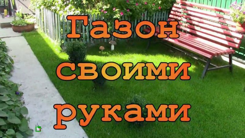Создание газона своими руками на даче: пошаговое руководство