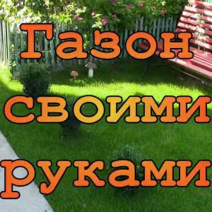 Создание газона своими руками: пошаговое руководство