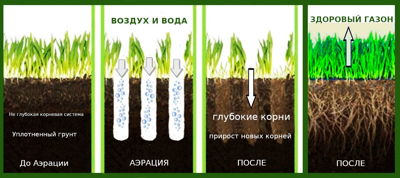 Создание идеального газона своими руками