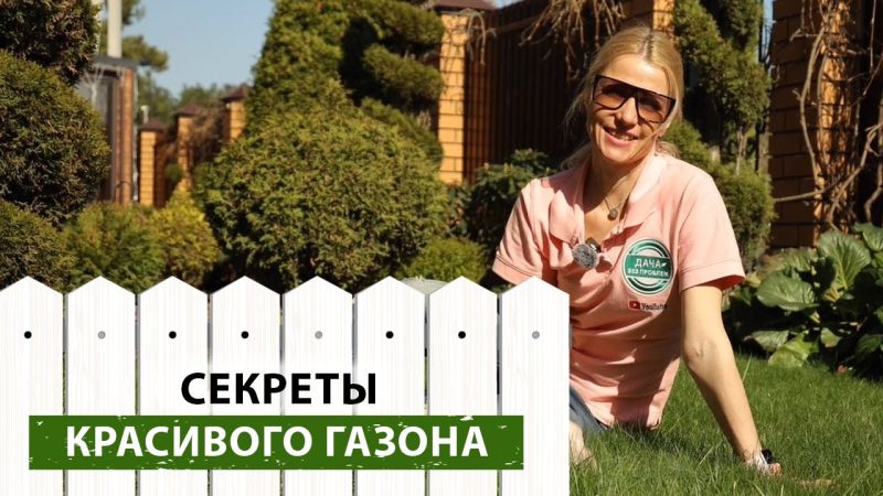 Создание красивого газона своими руками: пошаговое руководство