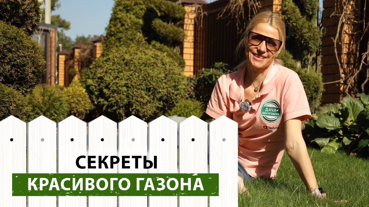 Создание красивого газона своими руками: пошаговое руководство