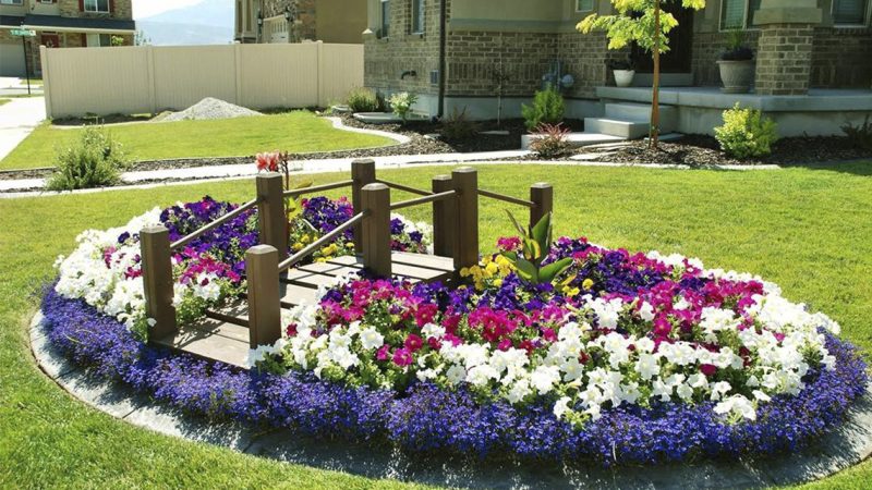 Создание красивой клумбы-цветника своими руками