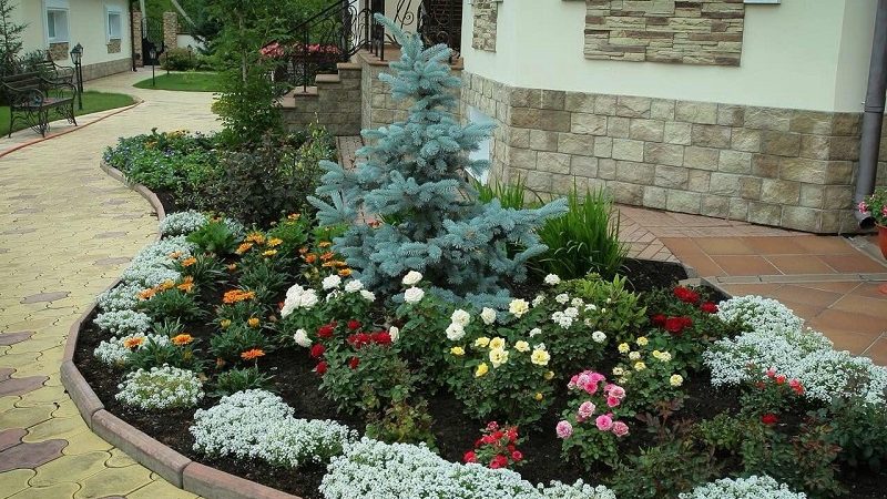 Создание красивых клумб и цветников перед домом