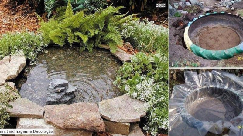 Создание пруда на даче своими руками: пошаговое руководство