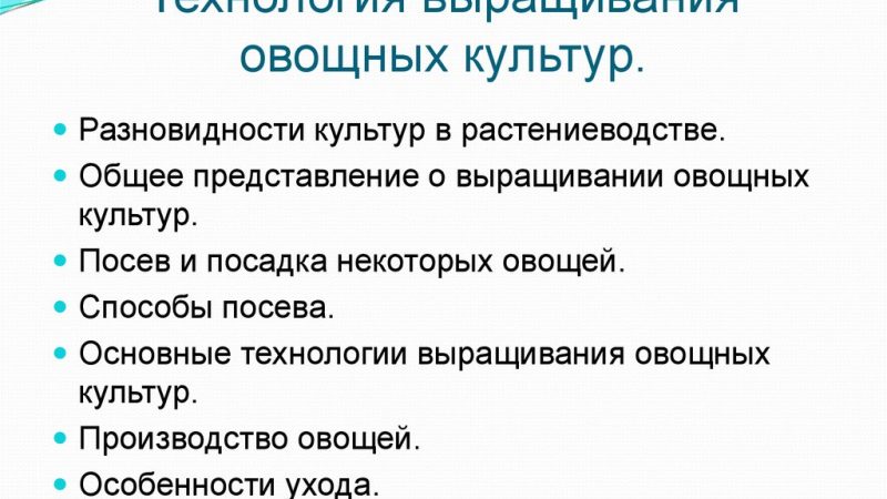 Технология выращивания овощей: основные этапы и методы