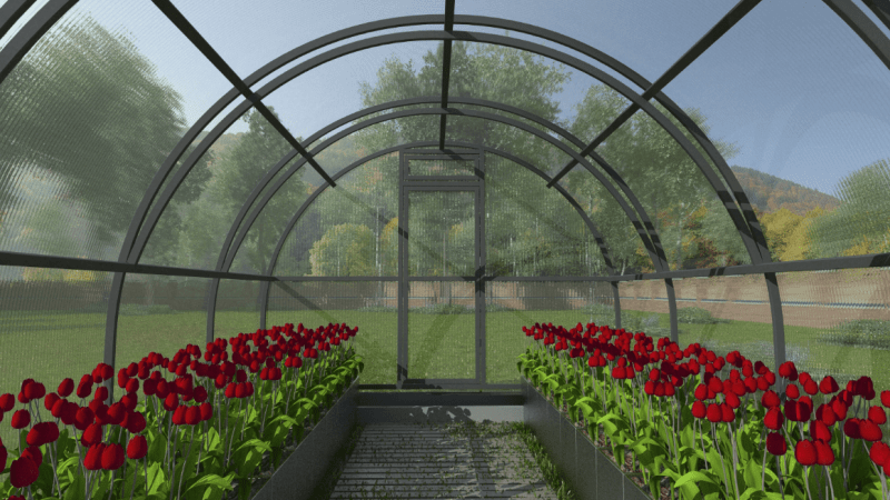 Теплицы для выращивания рассады: типы, преимущества и советы