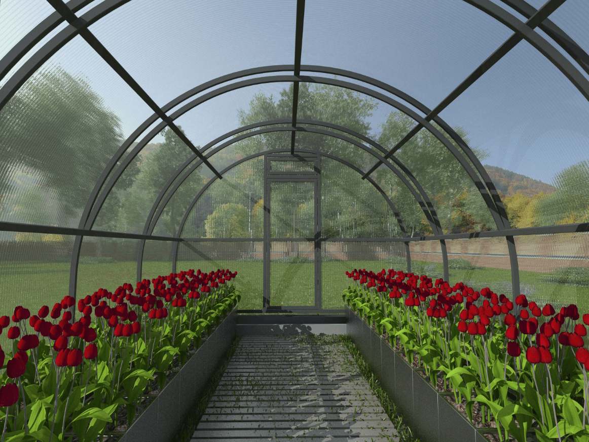 Теплицы для выращивания рассады: типы, преимущества и советы