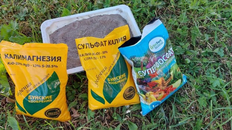Удобрения для почвы осенью: как подготовить сад и огород к зиме