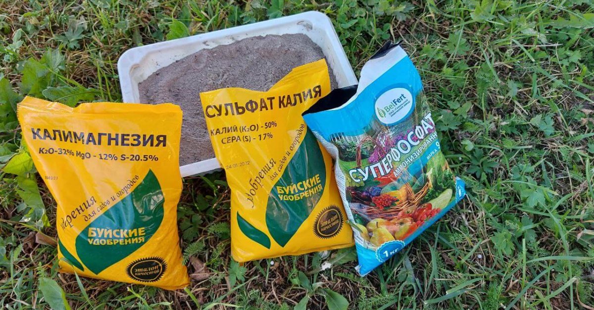 Удобрения для почвы осенью: как подготовить сад и огород к зиме