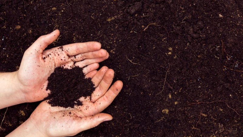 Удобрения и типы почв: полное руководство по выбору и применению