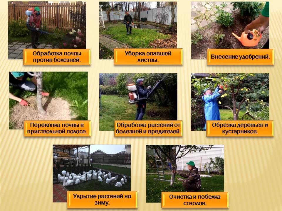 Удобрения осенью: как правильно подготовить сад к зиме