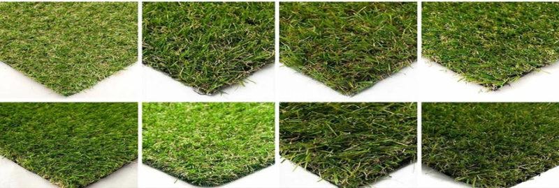 Виды газонов для дачи: Фото и характеристики