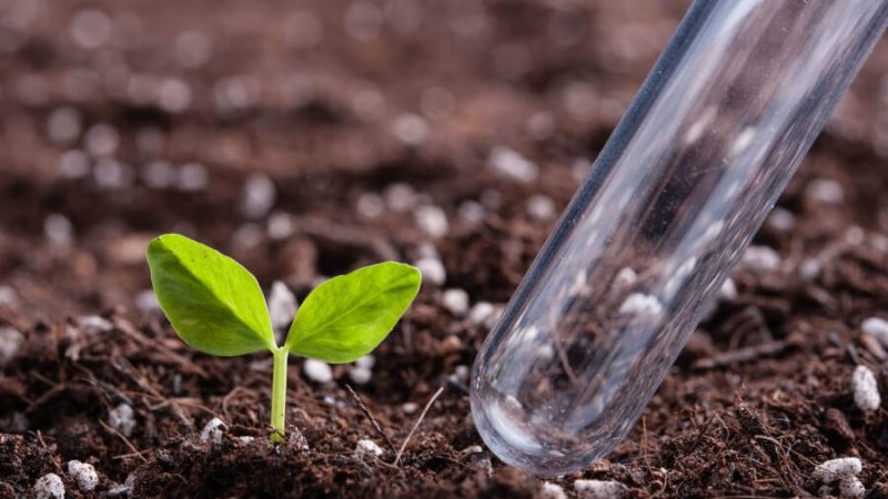 Внесение удобрений в почву: необходимость и виды