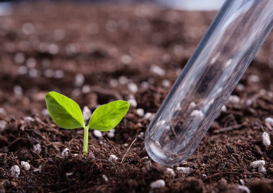 Внесение удобрений в почву: необходимость и виды