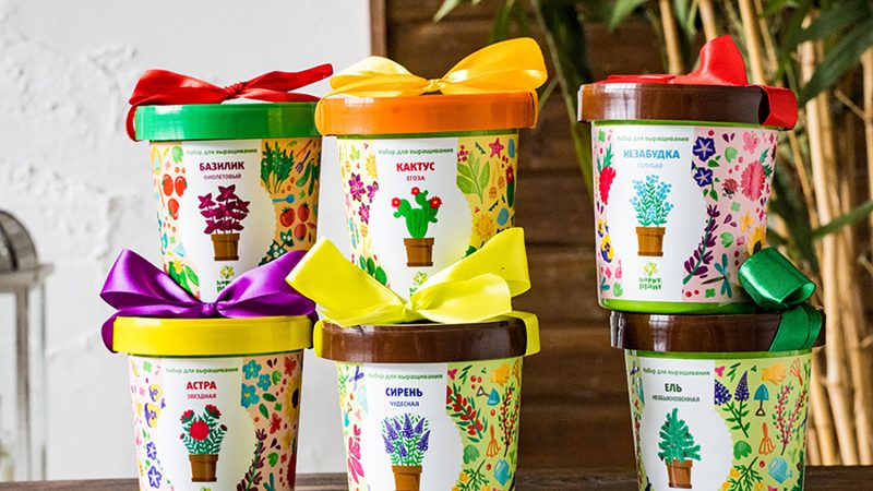 Все для рассады в Красноярске: Ваш путеводитель по успешному выращиванию