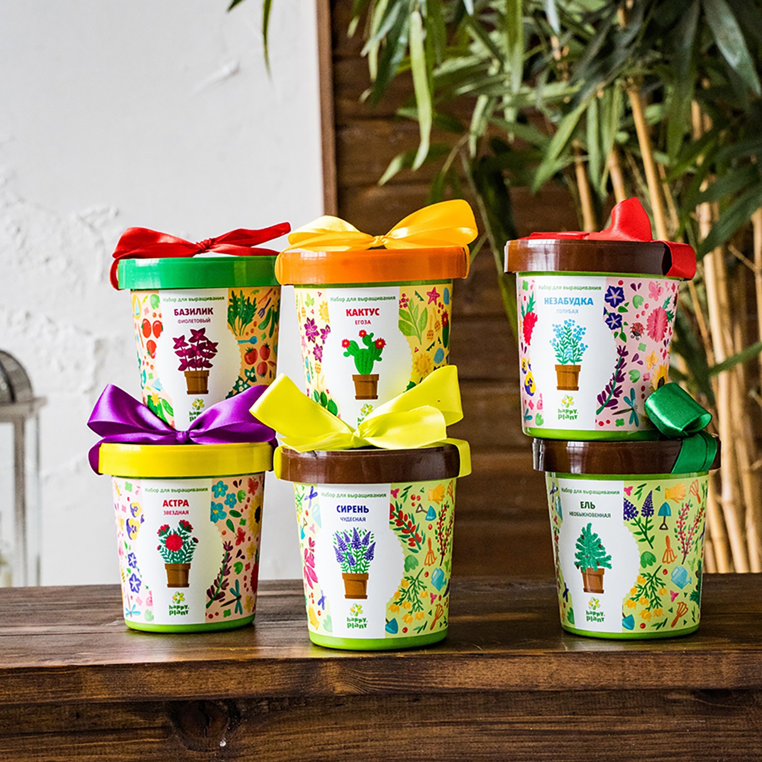 Все для рассады в Красноярске: Ваш путеводитель по успешному выращиванию