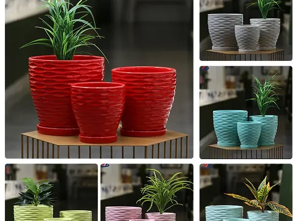 Выбор цвета горшков для комнатных растений: влияние на растения и интерьер