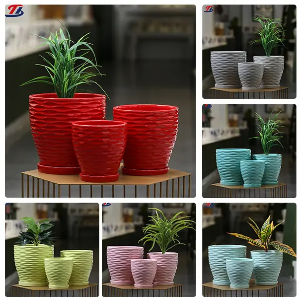 Выбор цвета горшков для комнатных растений: влияние на растения и интерьер