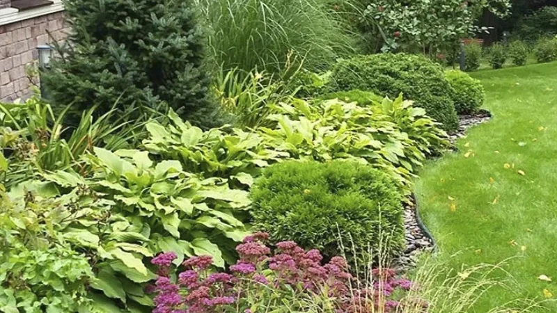 Выбор цветов для садового участка: советы и рекомендации