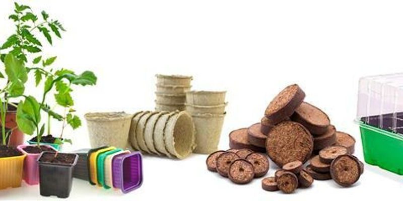 Выбор емкости для рассады помидор: виды, преимущества и недостатки