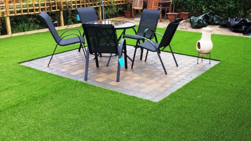 Выбор идеального газона для дачи: советы и отзывы владельцев